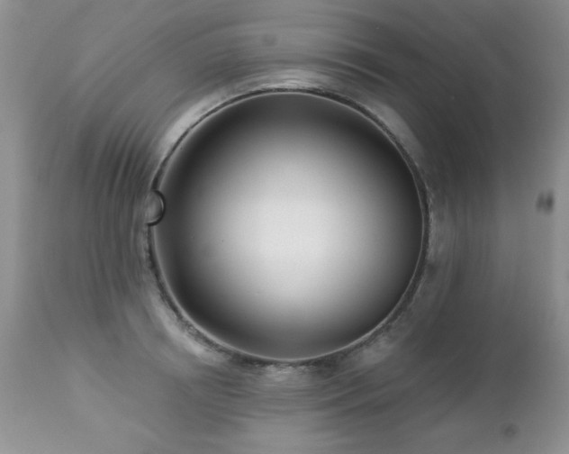X0000112460850200908171201