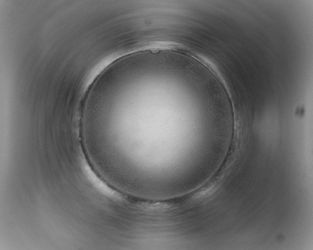 X0000112460851200908171201