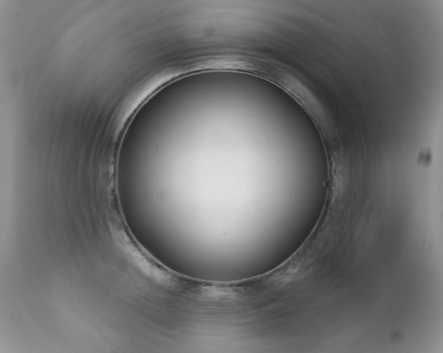 X0000112460852200908171201