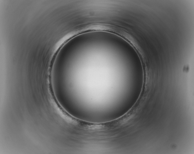 X0000112460853200908171201