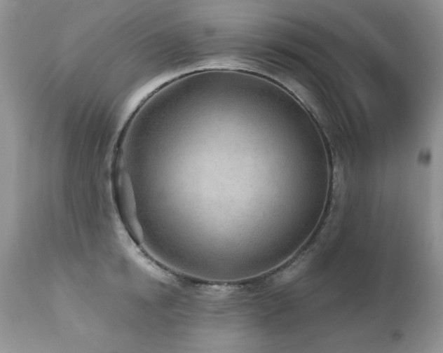 X0000112460854200908171201