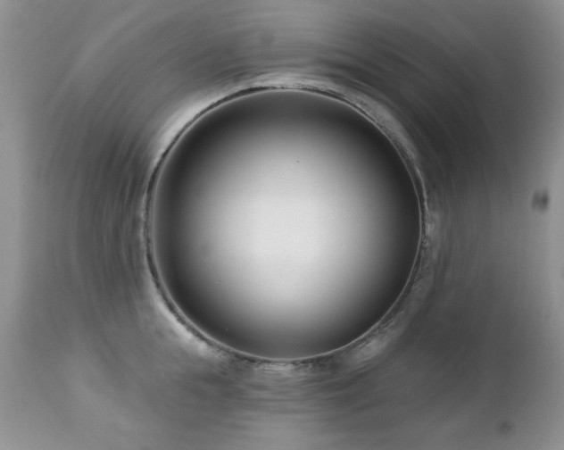 X0000112460855200908171201