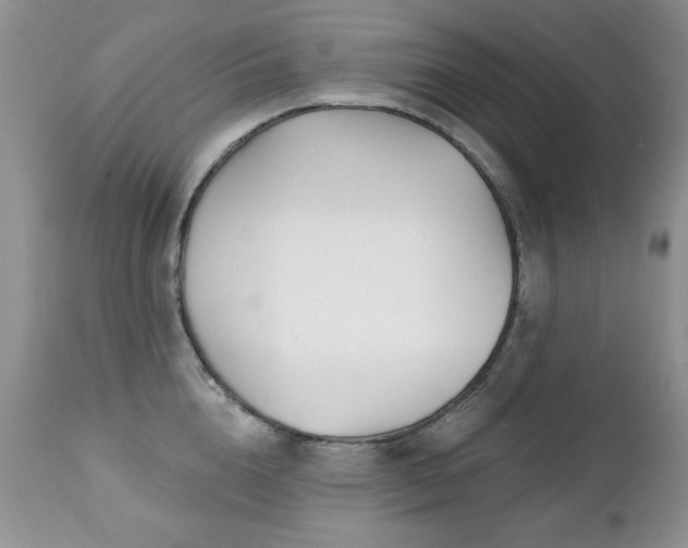 X0000112460856200908171201