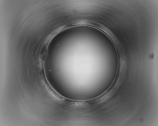 X0000112460857200908171201