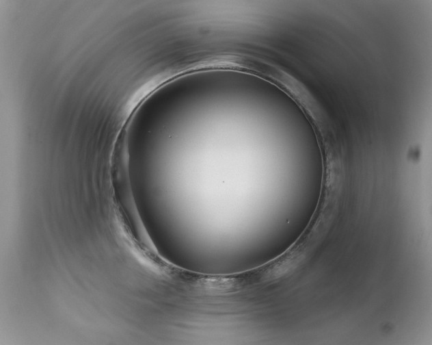 X0000112460858200908171201
