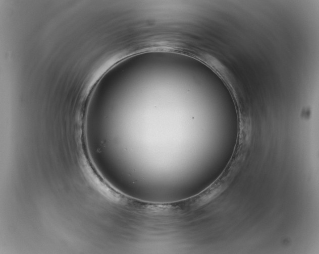 X0000112460859200908171201