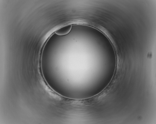X0000112460861200908171201