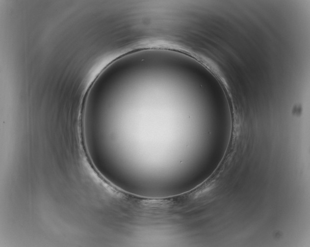 X0000112460863200908171201