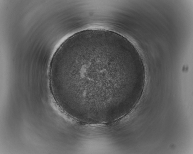 X0000112460864200908171201