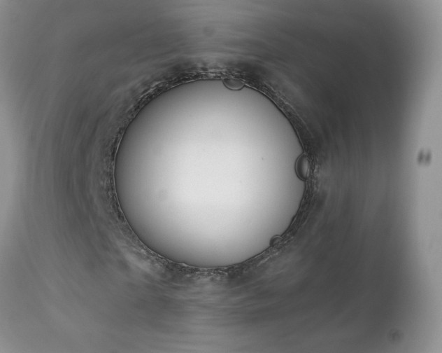 X0000112460865200908171201