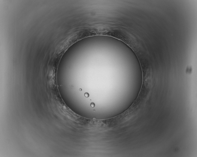 X0000112460866200908171201