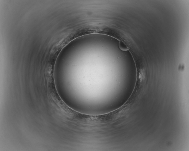 X0000112460867200908171201