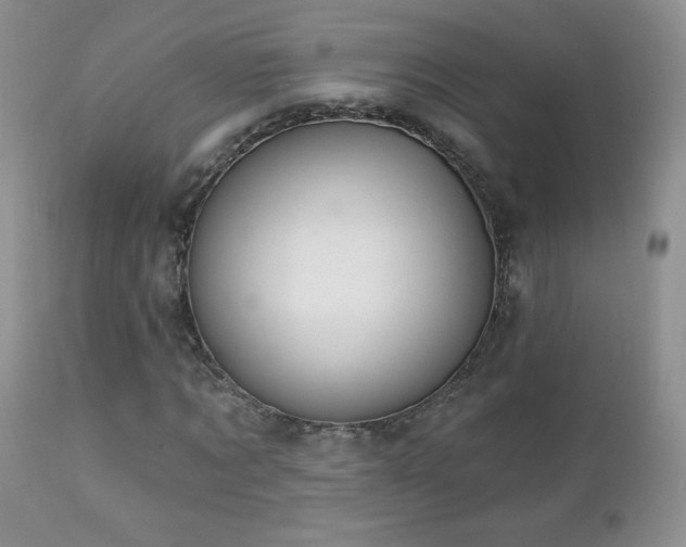 X0000112460869200908171201