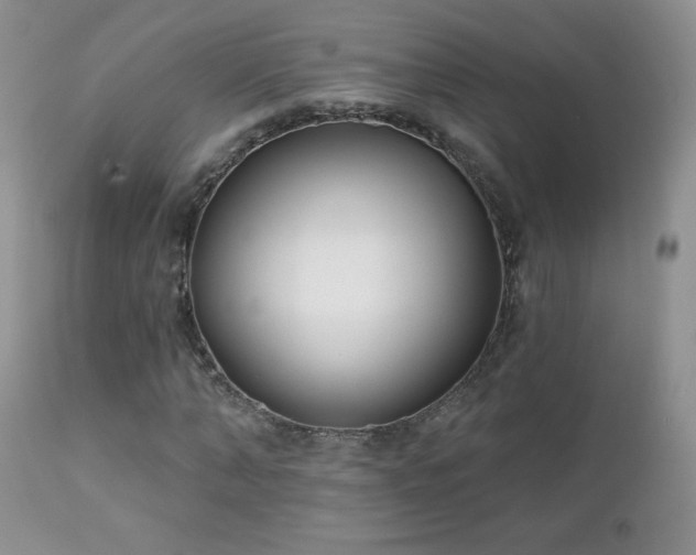 X0000112460870200908171201