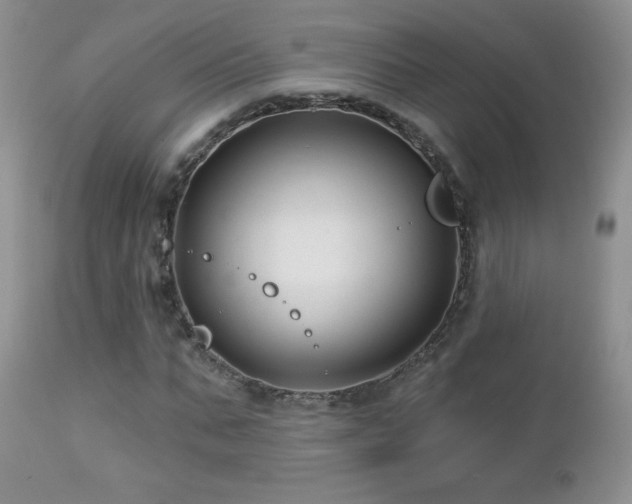 X0000112460871200908171201