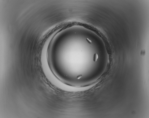 X0000112460872200908171201