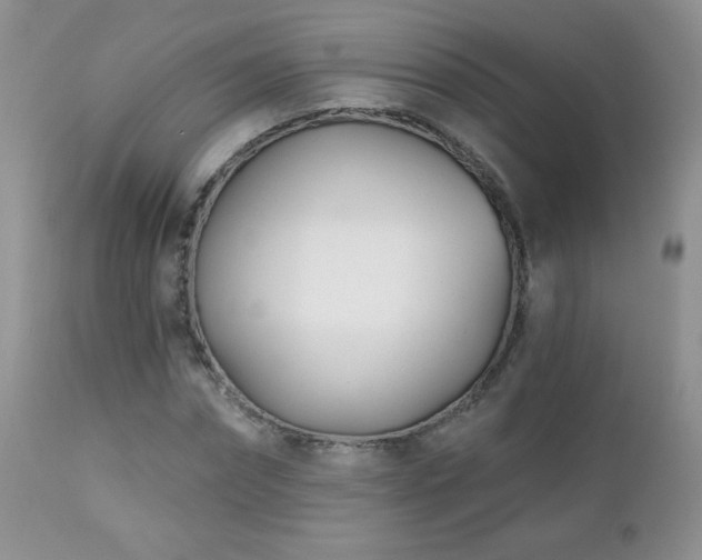 X0000112460874200908171200