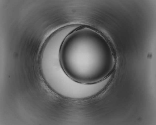 X0000112460876200908171200