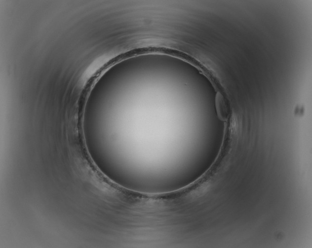 X0000112460877200908171200