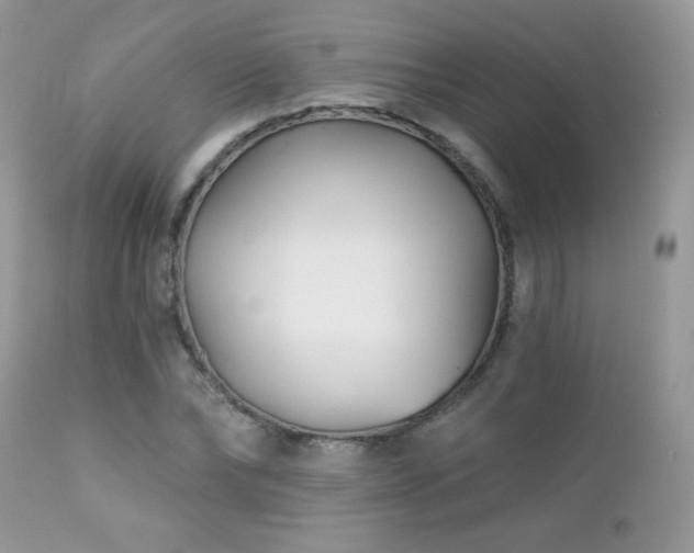 X0000112460878200908171200