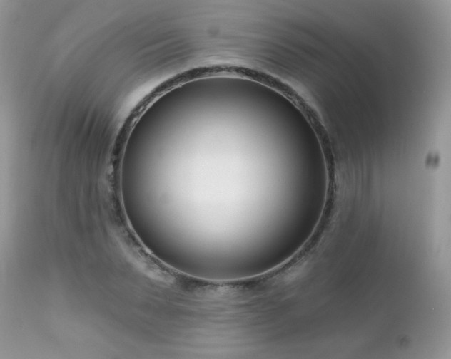 X0000112460879200908171200