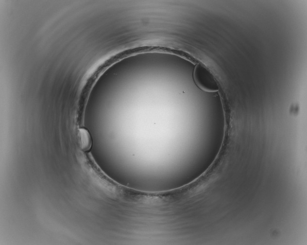 X0000112460880200908171200