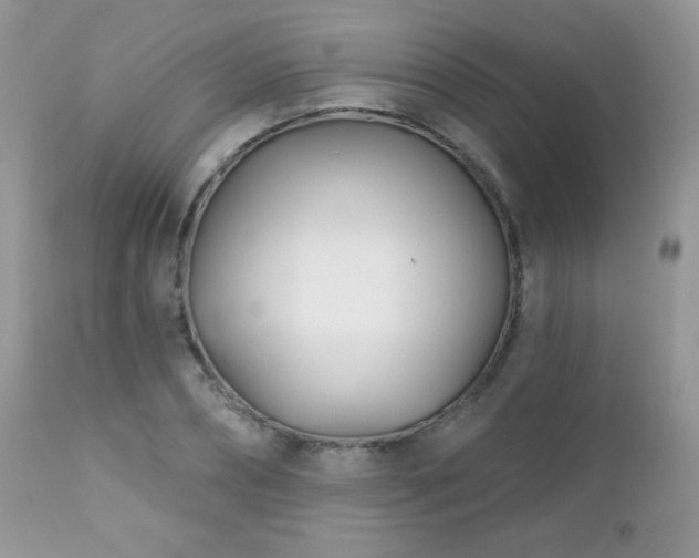X0000112460882200908171200