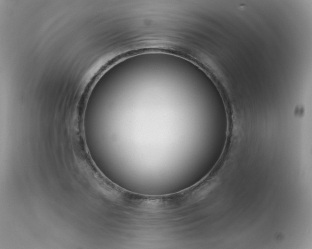 X0000112460883200908171200