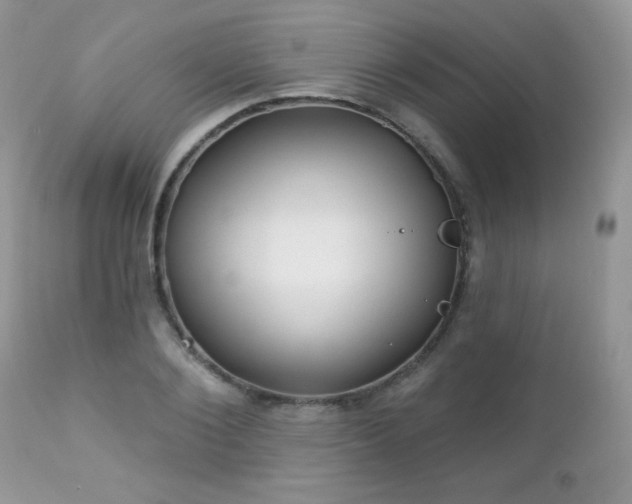X0000112460884200908171200