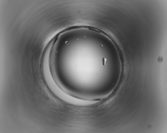 X0000112460885200908171200