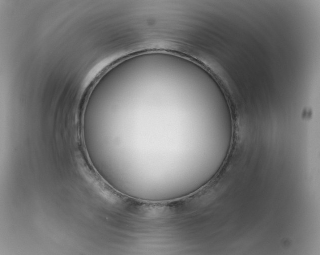 X0000112460886200908171200