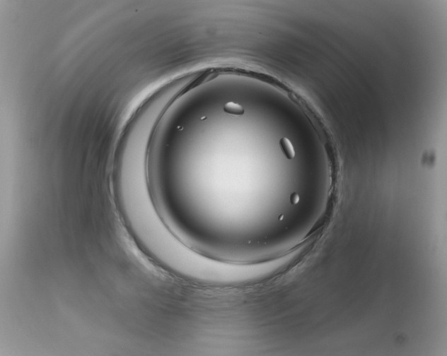 X0000112460888200908171200