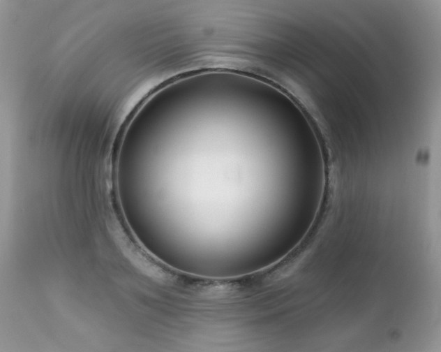 X0000112460891200908171200