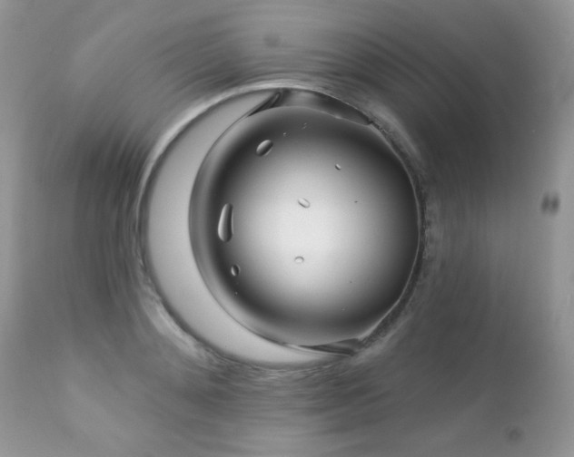 X0000112460892200908171200