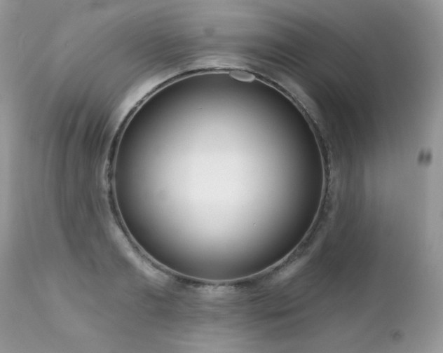 X0000112460893200908171200