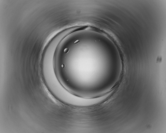 X0000112460894200908171200