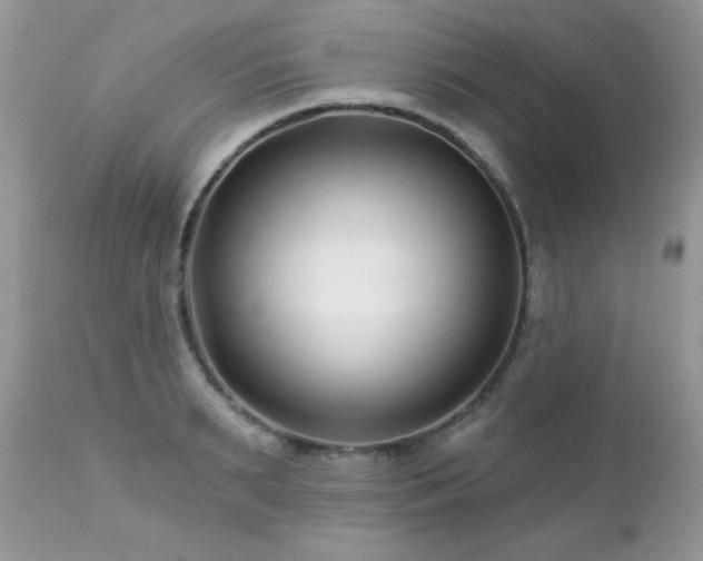 X0000112460895200908171200