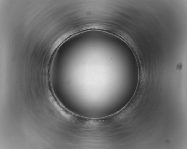 X0000112460898200908171200