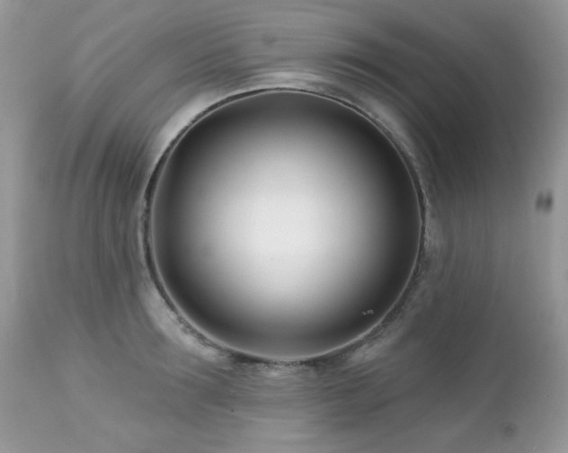 X0000112460899200908171200