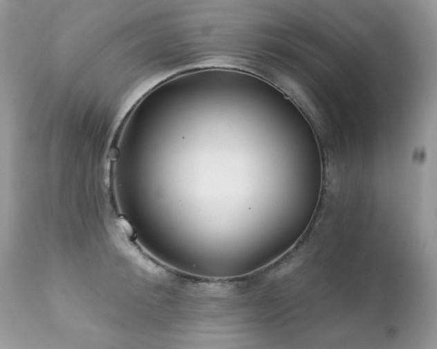 X0000112460900200908171200