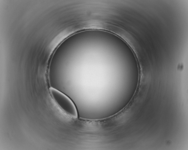 X0000112460901200908171200