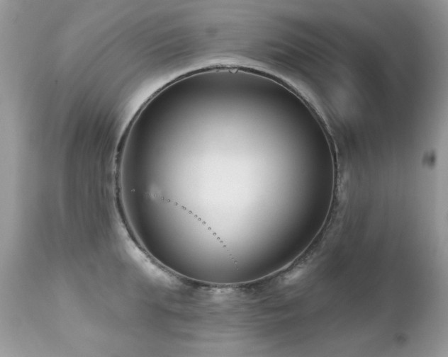 X0000112460903200908171200