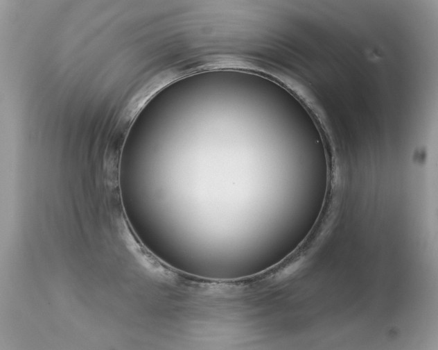 X0000112460905200908171200