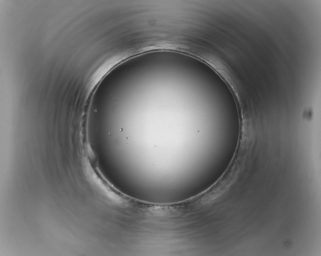 X0000112460906200908171200