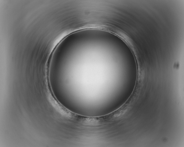 X0000112460907200908171200