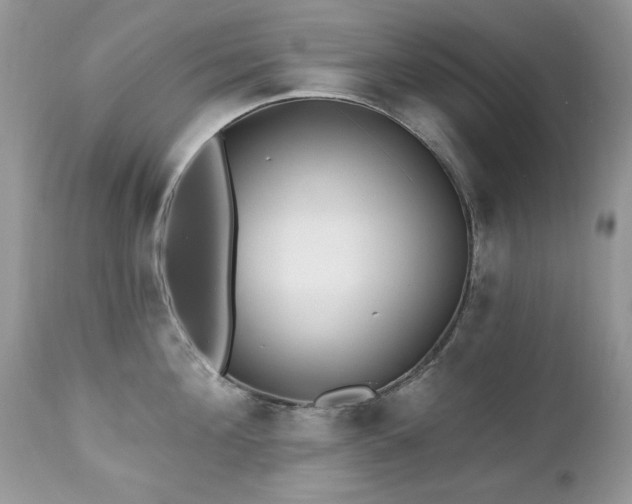 X0000112460908200908171200