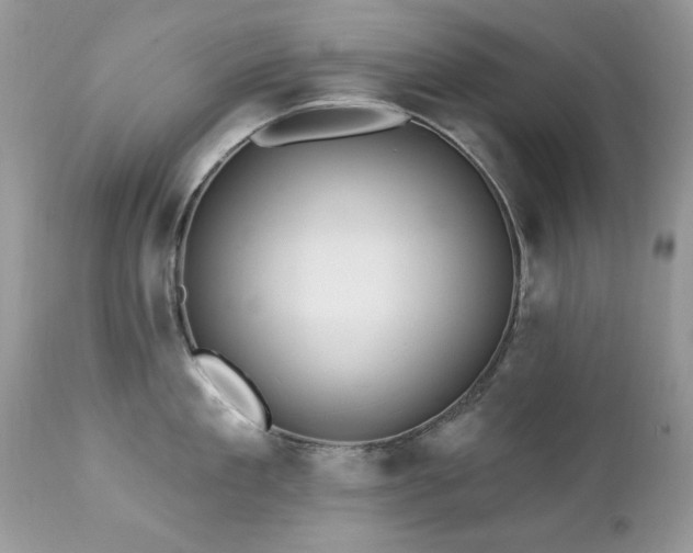 X0000112460909200908171200