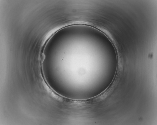 X0000112460910200908171200