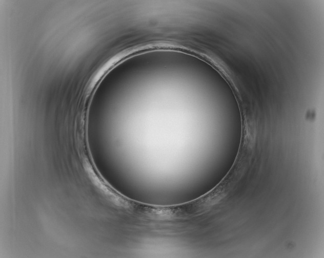 X0000112460911200908171200