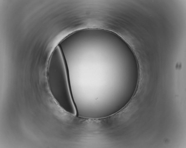 X0000112460912200908171200